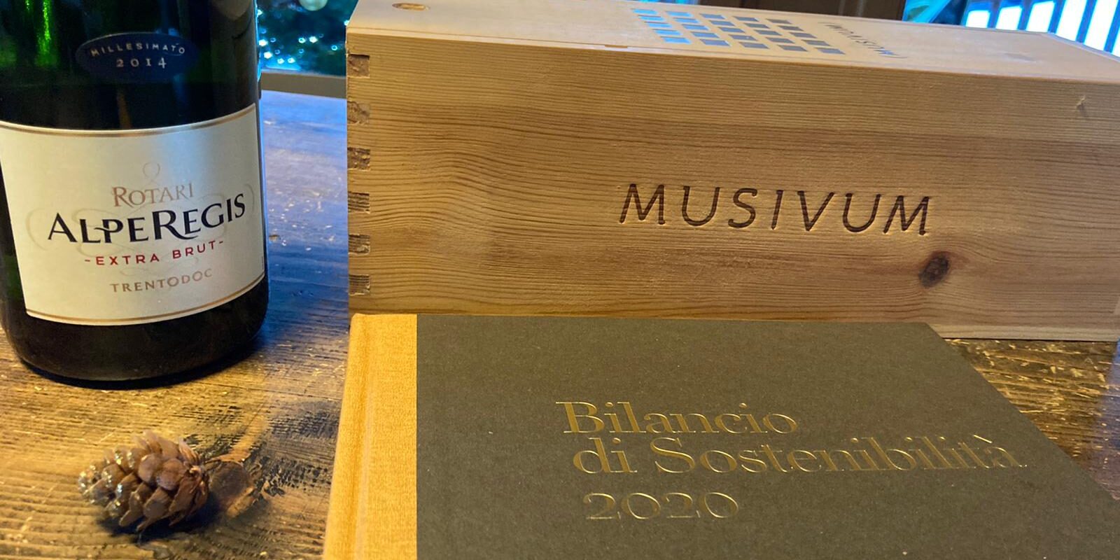 Bilancio di Sostenibilità 2020 gruppo Mezzacorona