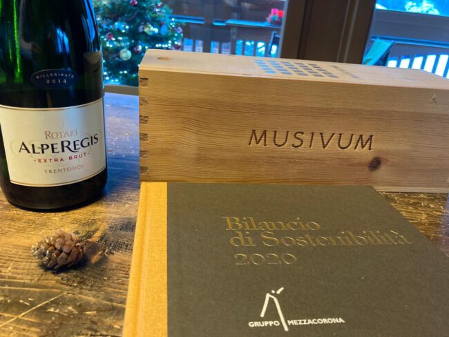 Bilancio di Sostenibilità 2020 gruppo Mezzacorona