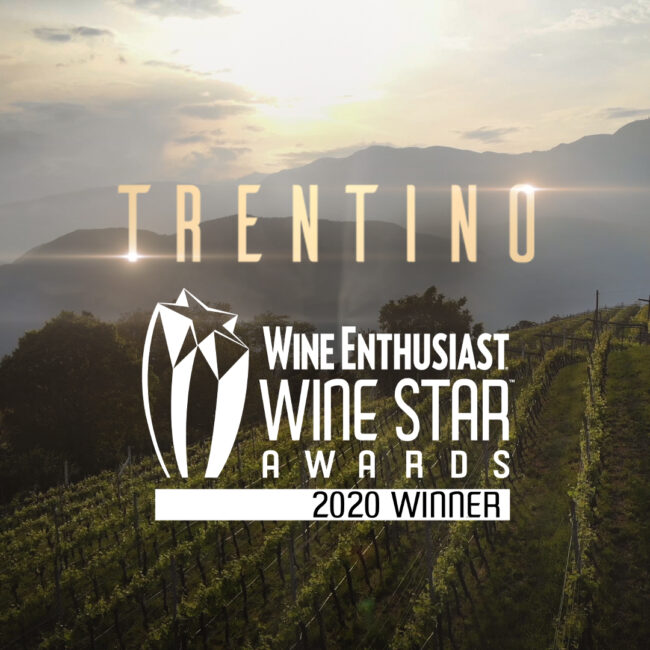 Trentino wine region of the year