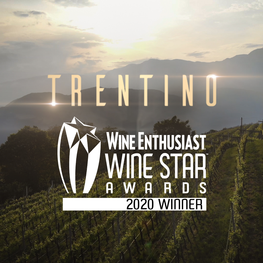 Trentino wine region of the year