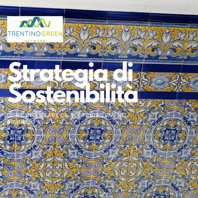 Strategia di Sostenibilità 5 motivi per non farne più a meno